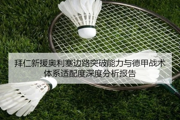 拜仁新援奥利塞边路突破能力与德甲战术体系适配度深度分析报告