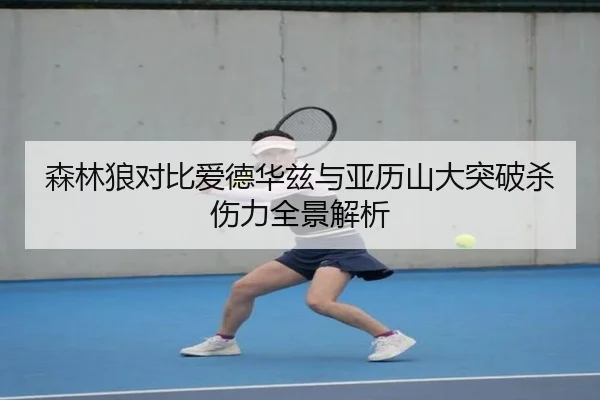 森林狼对比爱德华兹与亚历山大突破杀伤力全景解析